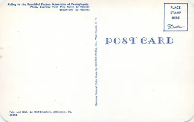 Cavalo na bela montanha Pocono de Pennsylvania — Foto cortesia Twin Pine Ranch por Valence — Dexter Press, N.Y. — Verso