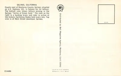 Salinas, Kalifornia — widok Main Street, pole z kapustą i rodeo — Bell Magazine Agency — Rewers