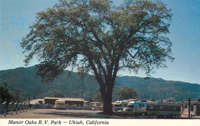 Manor Oaks R.V. Park — Ukiah, Califórnia — Kolor View Press