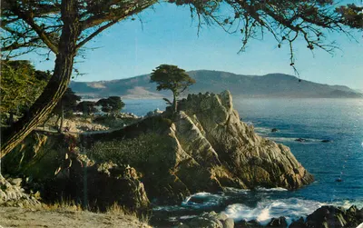 Midway Point, 17-Mile Drive — Lone Cypress — H.S. Crocker Co., Inc.