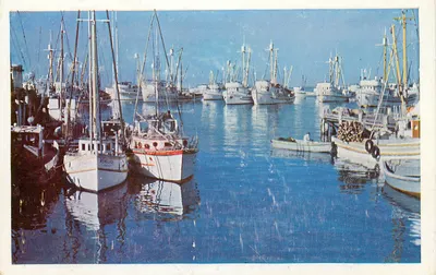 Baía de Monterey — porto de pesca — TAYLORCHROME COLOR CARD n°10