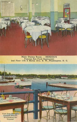 Sala de jantar principal — O famoso restaurante de frutos do mar Herzog — 2º andar, 11th & Maine Ave. S.W., Washington, D.C.