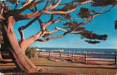 Palisades Park — Santa Monica, Califórnia — Mickock & Sons, 139612 Ventura Blvd, Sherman Oaks, Califórnia