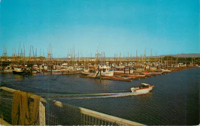 O porto de Monterey — Marina — editor H.S. Crocker Co. n° C-178