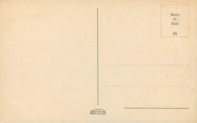 Wenecja — Most Rialto — widok kanału z gondolami — Wydawca Esare Capello, Mediolan, nr 45 — Rewers
