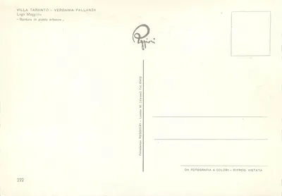 Villa Taranto - Verbania Pallanza — Bordura di piante erbacee — Fotostampa Reggiori, n° 222 — Verso