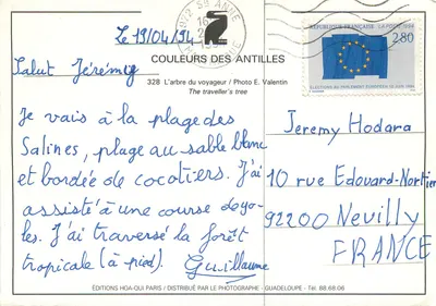 Drzewo podróżnika — Guadelupa — Wydawnictwo HOA-QUI — Rewers
