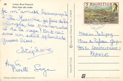 Papuga błękitna z Indii — Mauritanie — Foto Gérard de Chasteauneuf — Rewers