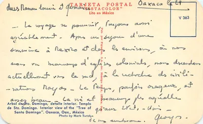 Árvore de Santo Domingo — detalhe interno — Templo de Santo Domingo, Oaxaca, México — Carta Postal Vesta Color, n° V 363 — Verso