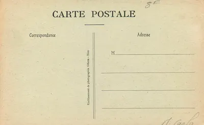 Monte-Carlo - Widok z Beausoleil między sosnami — Wydawnictwo Gilletta, nr 736 — Rewers