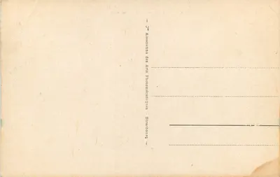 Monte-Carlo — I Giardini e il Casinò — 177 — Verso