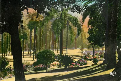 Jardins de Monte-Carlo — Contraluz — Éditions Rella, Nice