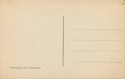 Widok La Chaux-de-Fonds — katedra i dachy — Phototypie Co, Neuchâtel, nr 6956 — Rewers