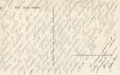 Zurich, Utoquai — widok brzegu z gęsiami — W. Pleyer, Zurich-Luzern — Rewers