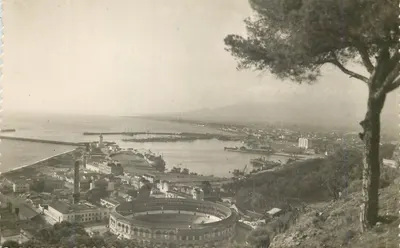 Malaga — Visão geral do porto — Tarjeta Postal Imp. em España n°49