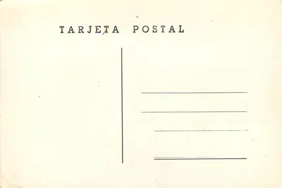 Tenerife - Puerto de la Cruz — Baena — Rewers
