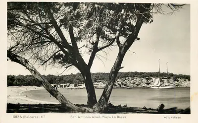 San Antonio Abad. Playa La Bassa — Ibiza (Baleares) 67 — Pot. Viñers
