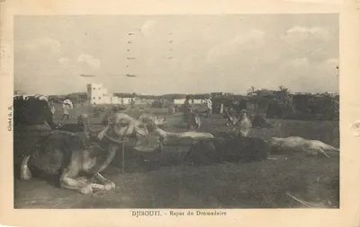 Bilhete postal antigo Djibouti Repo du Domadaire
