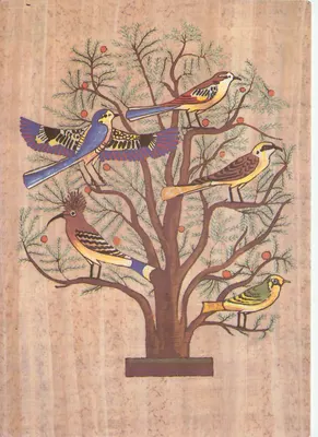 Pássaros cantores em uma árvore de mimosa — Mural de Beni Hassan — Art Publishers Lennert & Landrock, Caire