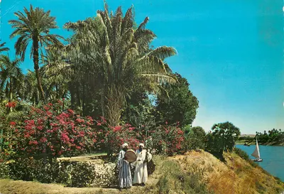 Assuã — Jardim Tropical — Krüger