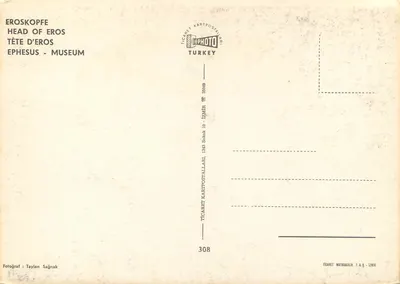 Cabeça de Éros — Museu de Éfeso — Editor Ticaret Kartpostallari, n° 308 — Verso