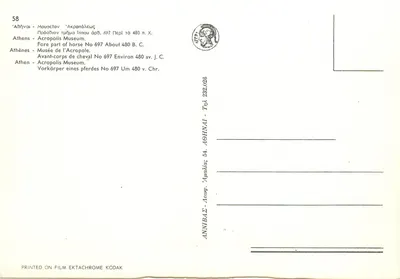 Avant-corpo de cavalo — Museu da Acrópole — Atenas — Verso