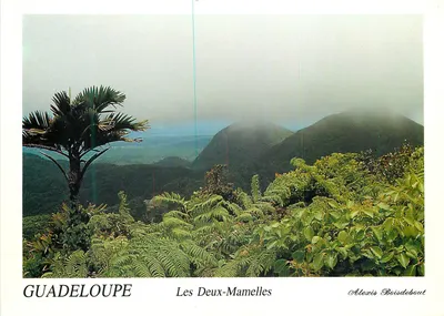 Guadalupe — Les Deux-Mamelles — Alexis Boisdebout