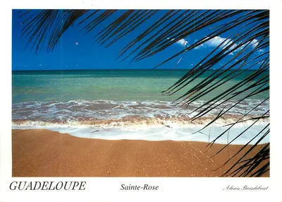 Guadalupe — Sainte-Rose — Alexis Boisdebout