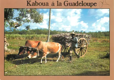 Kaboua na Guadalupe — Scandinexim, S.234