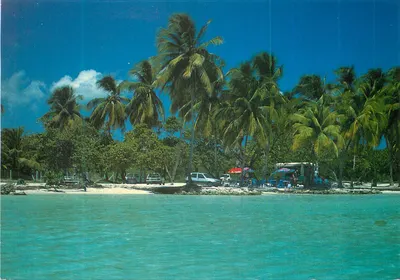 Praia de Ste-Anne — Guadeloupe — Edições F. Faraux, Torre Faidherbe N°3
