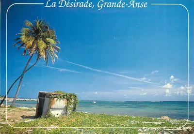 La Désirade, Grande-Anse — vista da praia com palmeira e barco — Éditions des Antilles