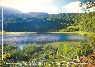 Guadeloupe, o Grande Étang — Images des Antilles, n° G 015