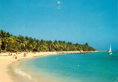 Praia da Caravelle — Guadalupe — Hachette Antilles, n° 7674