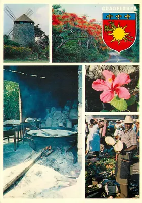 Guadalupe — Velho moinho, flor de hibisco, preparação da farinha de mandioca, mercado — Edições Puma Montpellier