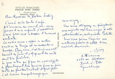 Bilhete postal moderno Antilles Francaises Flaboyants Flaming Trees — Verso