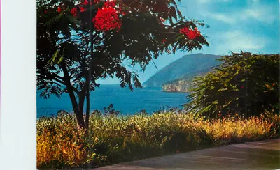 Guadeloupe — Côte sous le vent — Leward coast — Édition Antilles Touristiques, n°215