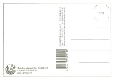 Estrada cercada de palmeiras — Guadalupe — Éditions Exbrayat — Verso