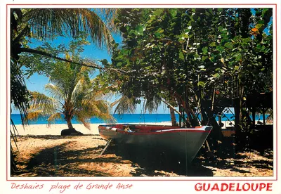 Deshayes — Praia de Grande Anse — Guadalupe — Éditions Cyril