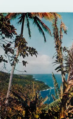 Paisagem — Guadeloupe — Ilha de Émeraude Turismo