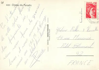 Pássaro do Paraíso — 6291 — IRIS-MEXICHROME — Verso
