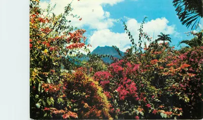 La Soufrière — Guadeloupe (Alt. 1457 m.) — Edições LIBRAIRIE POPULAIRE (Guadeloupe) LP 24