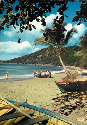 Praia de Guadeloupe — Retorno da pesca — IRIS