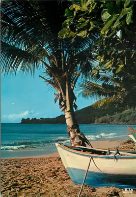 Praia de pescadores após Deshaies — Guadalupe — IRIS