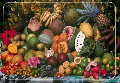 Frutas tropicais — República Francesa — Edições Antilhas