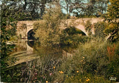 Saint-Junien (Hte-Vienne) — O Ponte Sainte-Élisabeth — Éditions Diplôme