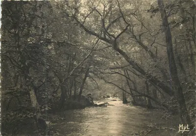 Saint-Junien (Haute-Vienne) — A Glane à l'arbre penché — editor L. LOUTUEUX