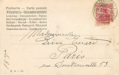 Biała róża i fiołki — ilustracja — wydawca nieznany, nr 220 — Rewers
