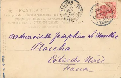 Flores de ciclamenos — cartão postal alemão — editor W. Knaur & Co. Berlin — Verso