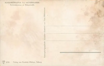 Schwarzwaldtal bei Niederwasser — jesienne nastroje w Schwarzwaldzie — Verlag von Friedrich Pfahrer, Triberg, n° 2751 — Rewers