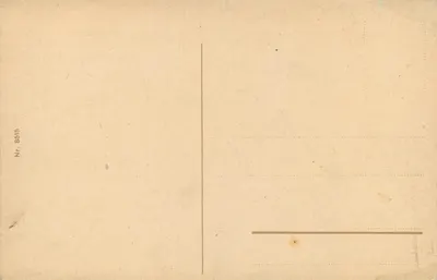 Trier, Palácio Imperial Romano — ruínas romanas — editor desconhecido, número de série 8515 — Verso